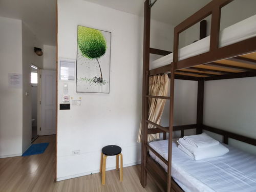 探索清邁新潮流 Bunk Boutique Hostel Chiang Mai雙層精品旅館，Agoda輕松訂房體驗(yàn)